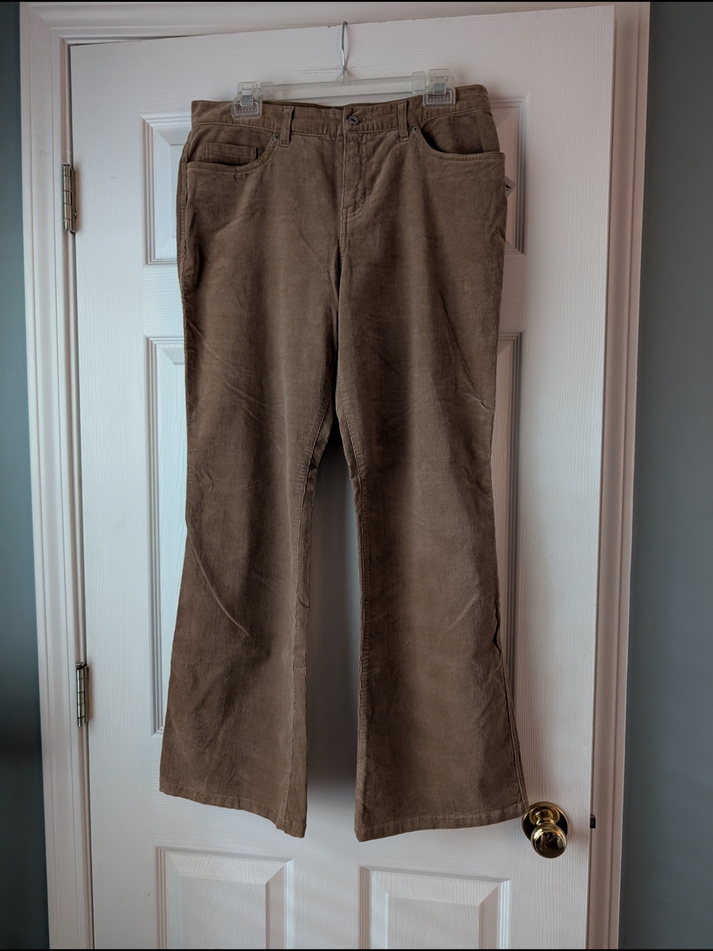Petite Boot Cut Pants